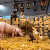 Puuräland – So lebt die Glarner Landwirtschaft